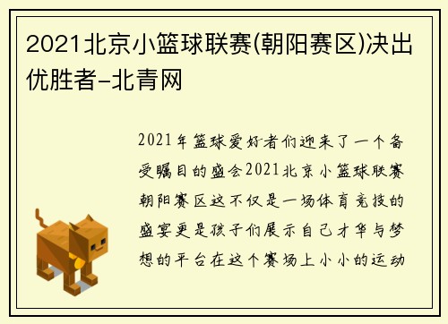 2021北京小篮球联赛(朝阳赛区)决出优胜者-北青网