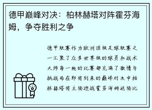 德甲巅峰对决：柏林赫塔对阵霍芬海姆，争夺胜利之争